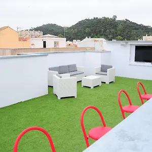 Barbatuke Malaga